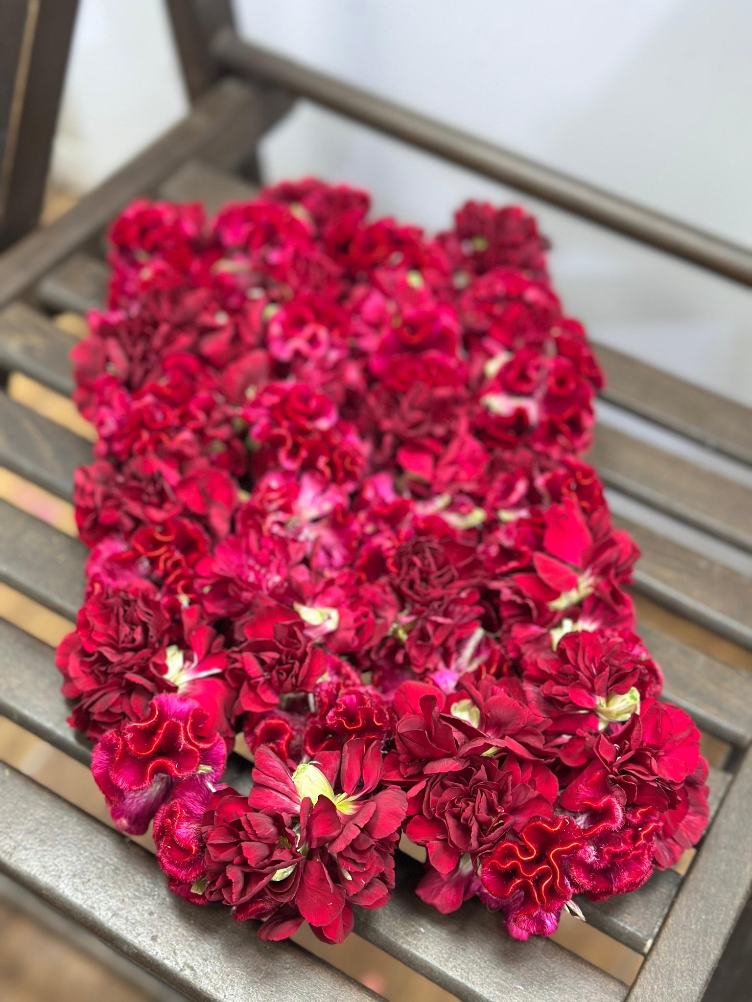 Carnation Strings CS-016