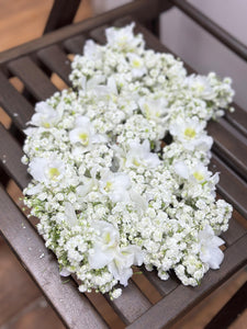 Carnation String CS-021